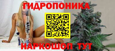 твердый Ефремов