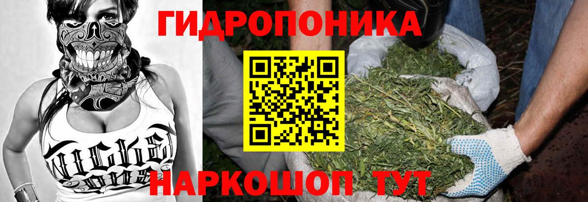 Каннабис White Widow  Вход с VPN  Каннабис марихуана  Марихуана конопля  Ачинск 